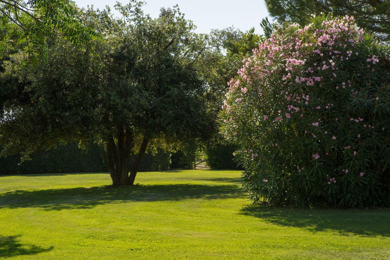 Villa Aia Vecchia Bibbona Eksteriør bilde